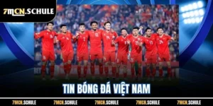 Tin Bóng Đá Việt Nam 7M - Cập Nhật Thông Tin Nóng Mỗi Ngày