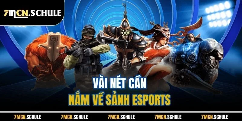 Vài nét cần nắm về sảnh Esports 